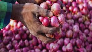 Bihar Government Onion Scheme